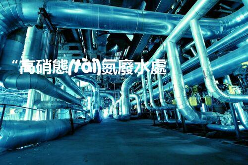 “高硝態(tài)氮廢水處理，綠色環(huán)保新篇章”